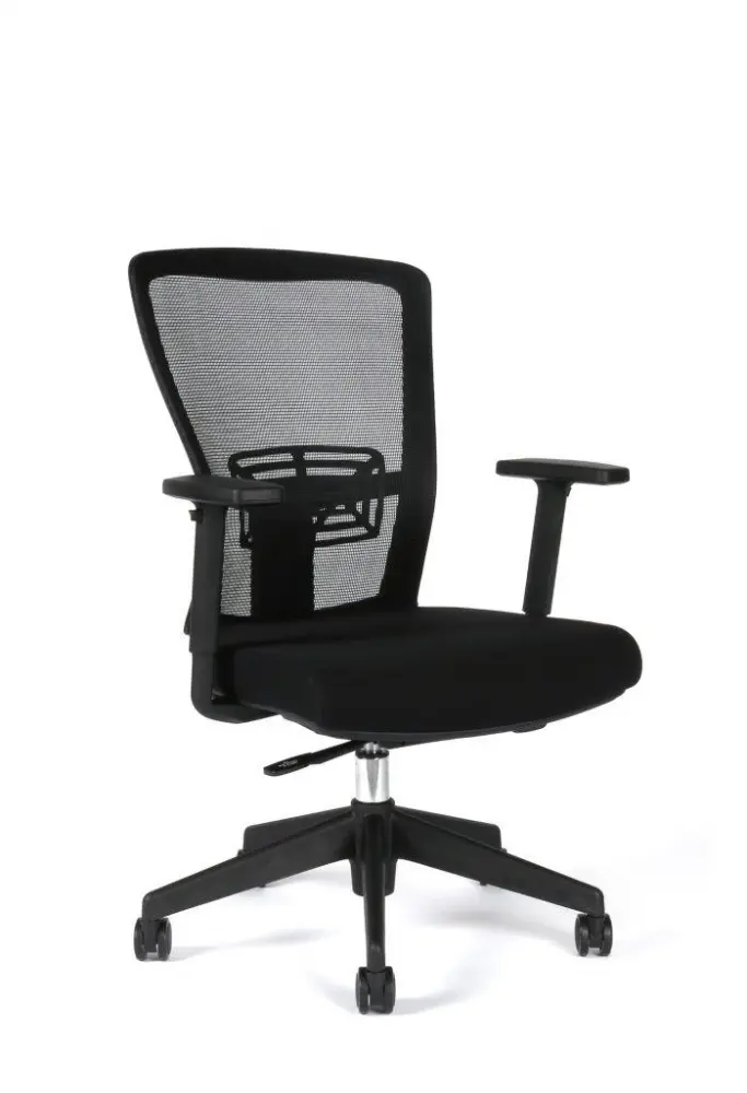 Office Pro Themis BP