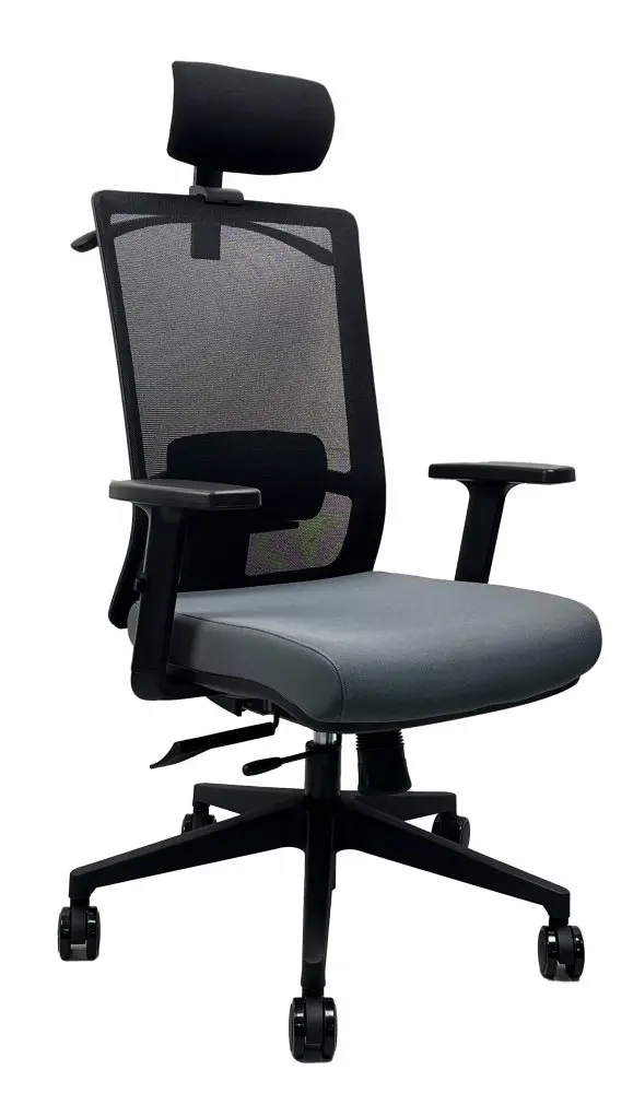 Kancelářská ergonomická židle DVIS — více barev