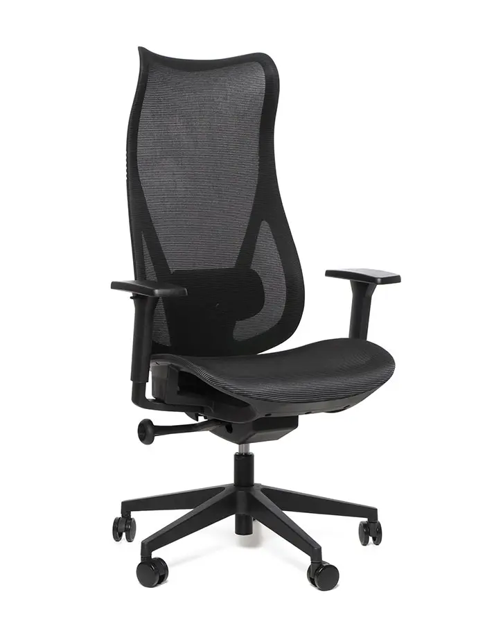 Kancelářská ergonomická židle Sego HARMONY — síť, černá Sego