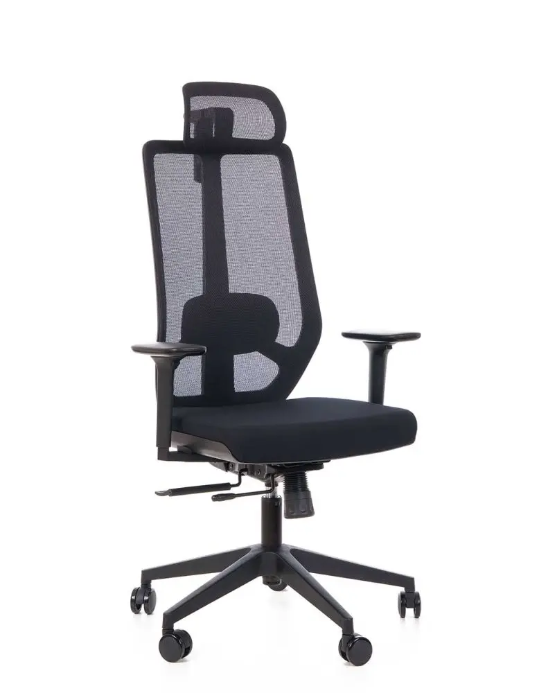 Ergonomická kancelářská židle GRENY černá