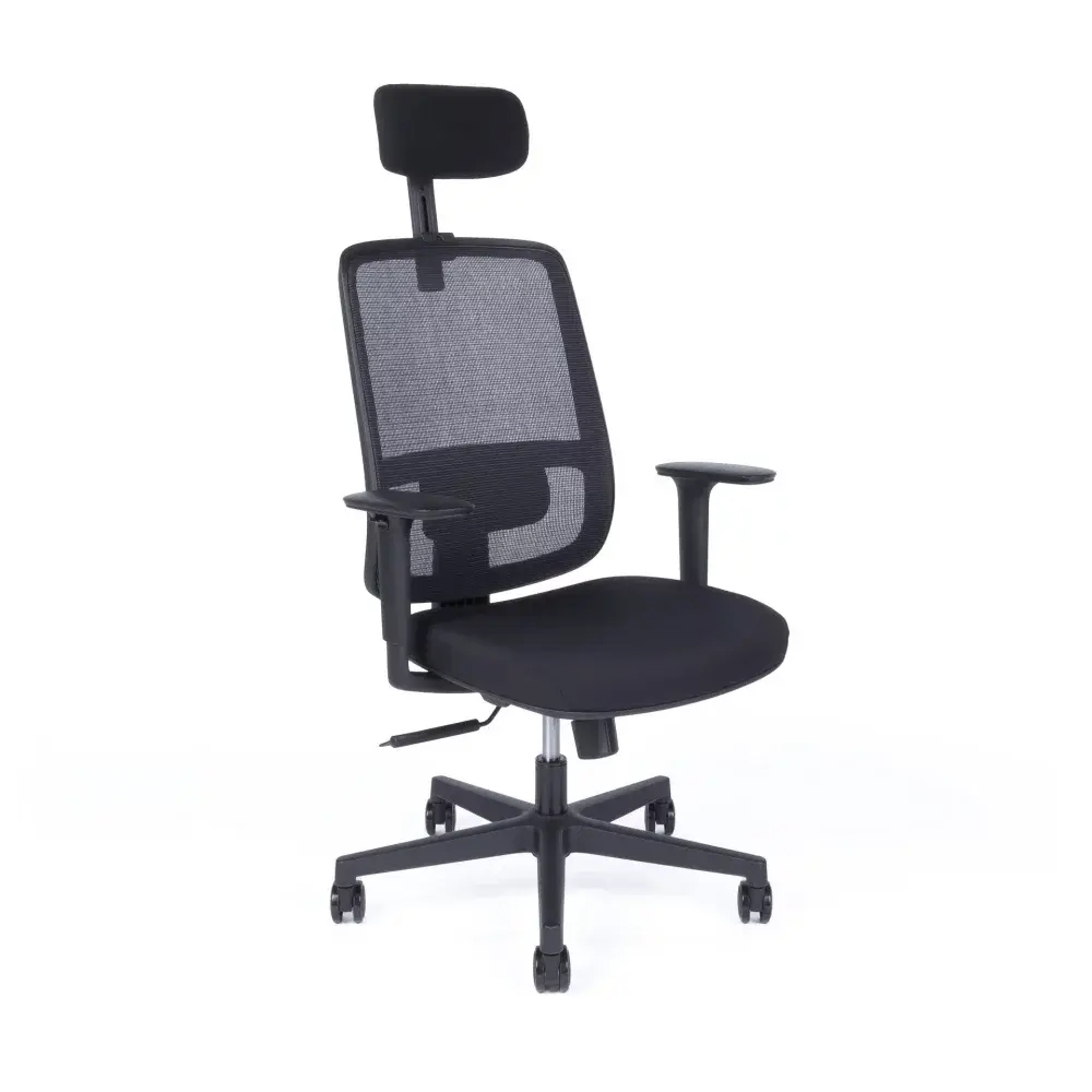 Kancelářská ergonomická židle CANTO — více barev