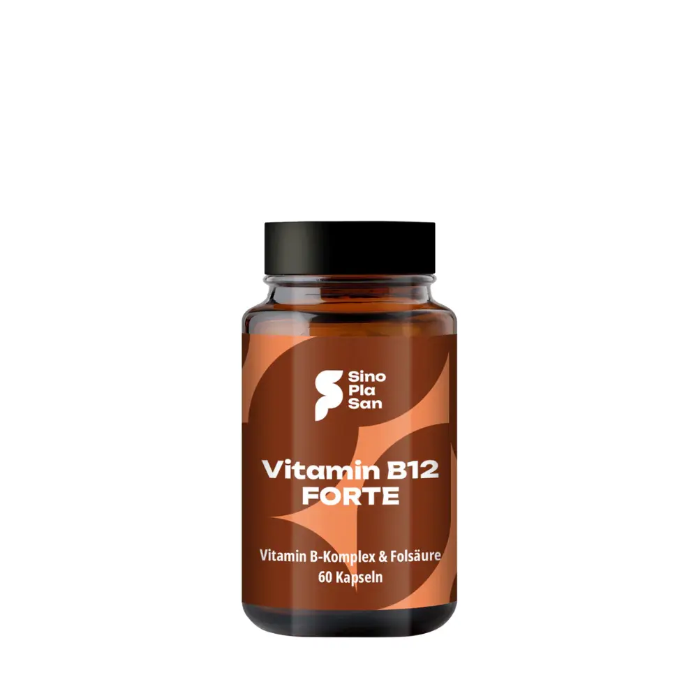Vitamin B12 FORTE 500 μg Methylcobalamin, 60 kapsli