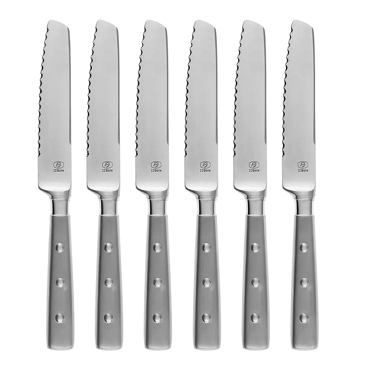 Steakové nože v magnetickém boxu set 6 ks – Bistro - 118758