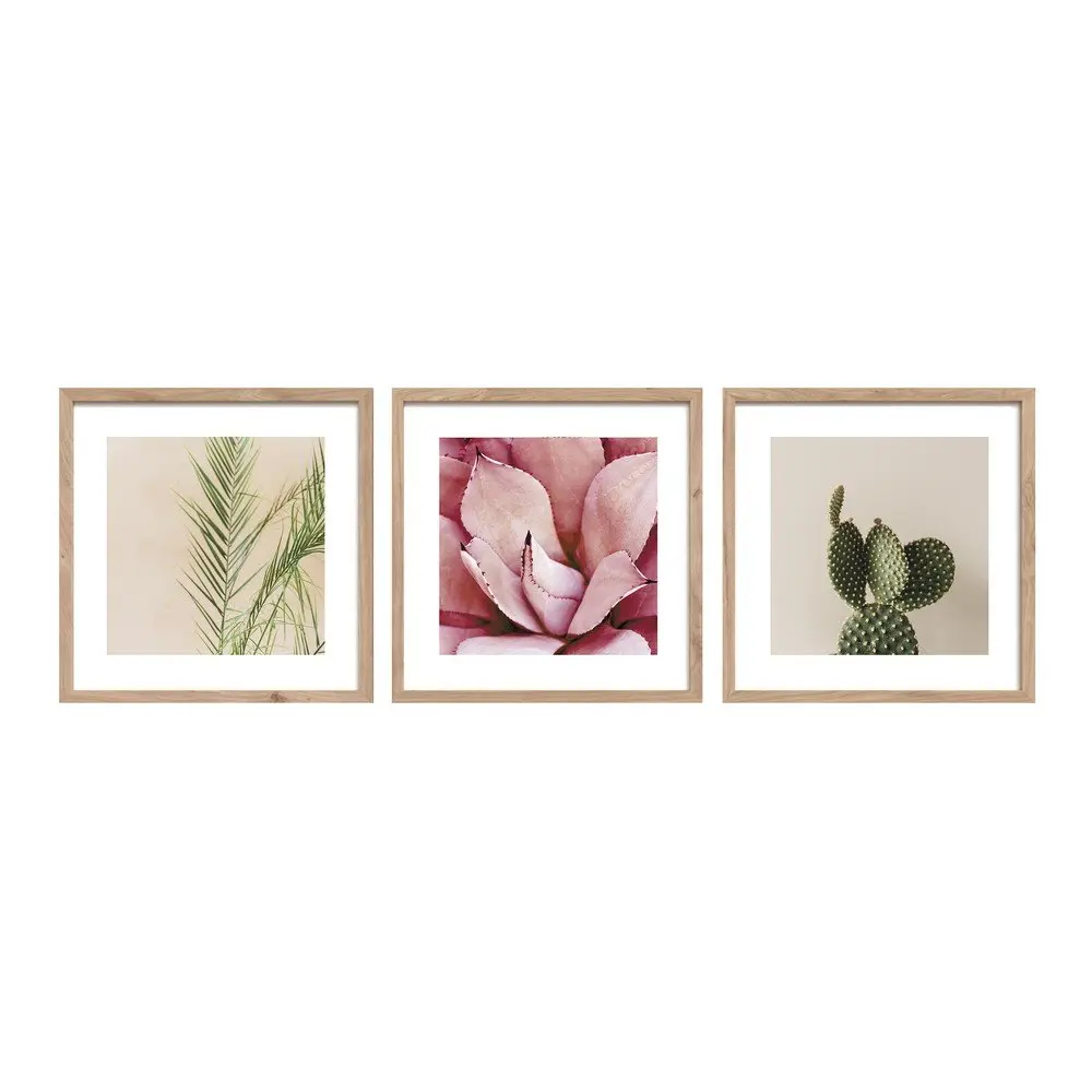 Tištěné obrazy v sadě 3 ks s rámem 30x30 cm Fresh – Styler