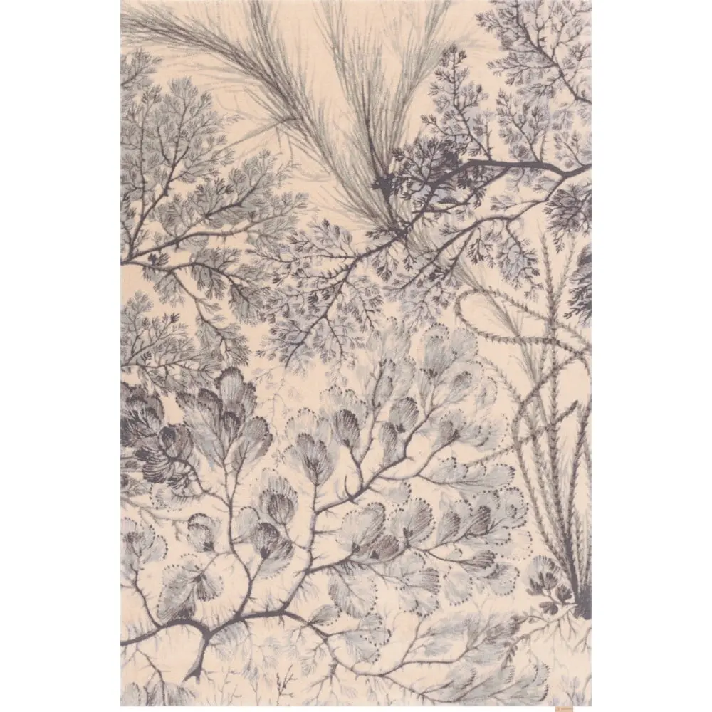 Vlněný koberec v mentolové a béžové barvě 170x240 cm V&A Calisia Kelp – Agnella