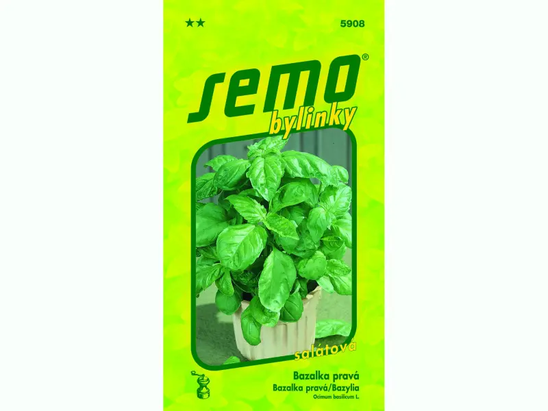 AgroBio Bazalka LETTUCE LEAF