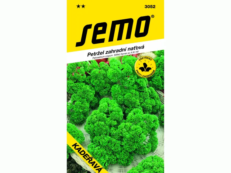 AgroBio Petržel kadeřavá Moss Curled 2