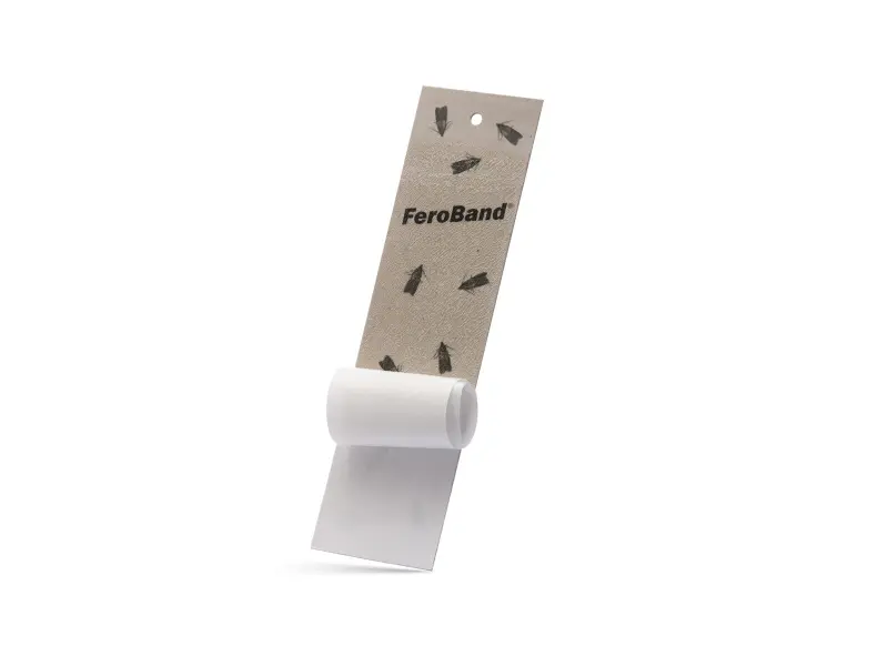 AgroBio PM Lepový pás potravinoví moli Feroband