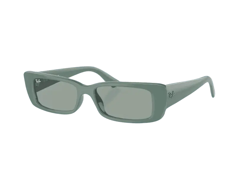 Ray-Ban Teru RB4425 676282