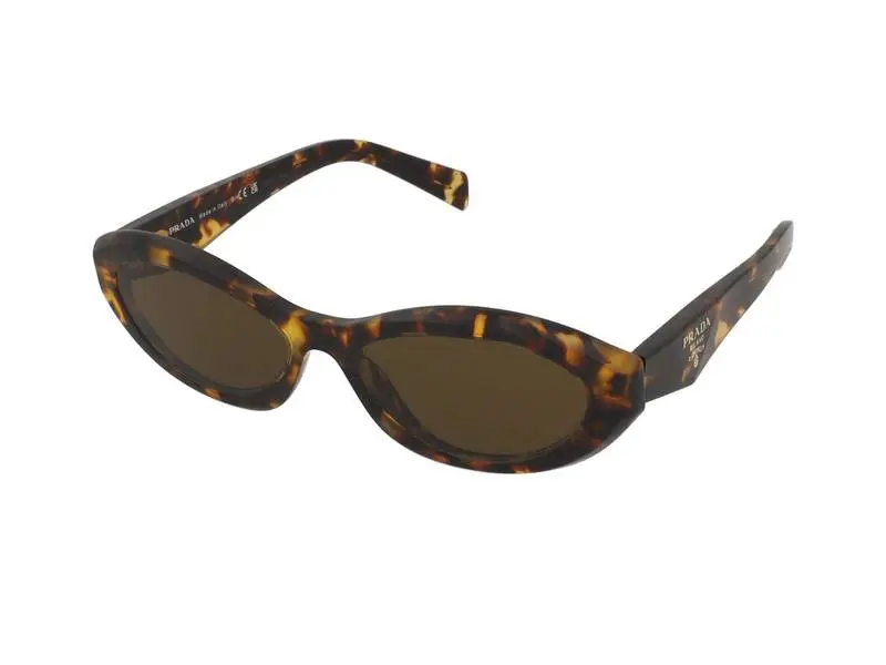 Prada PR26ZS 14L09Z - ONE SIZE (55)