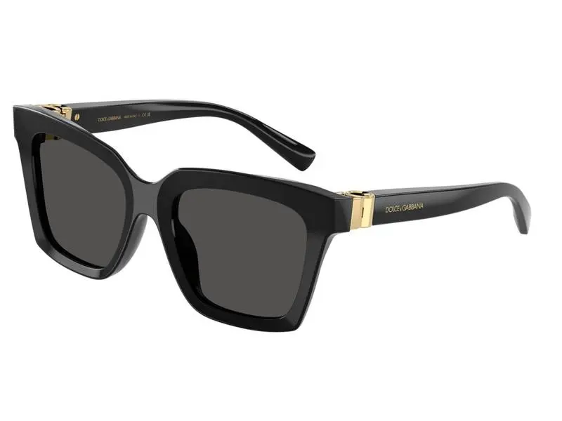 Dolce & Gabbana DG4498 501/87