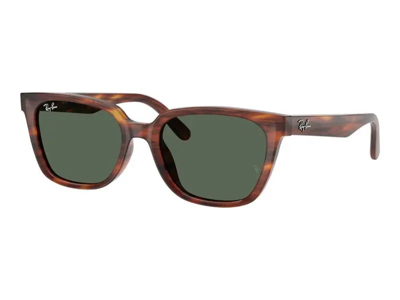 Ray-Ban RB2243D 954/71