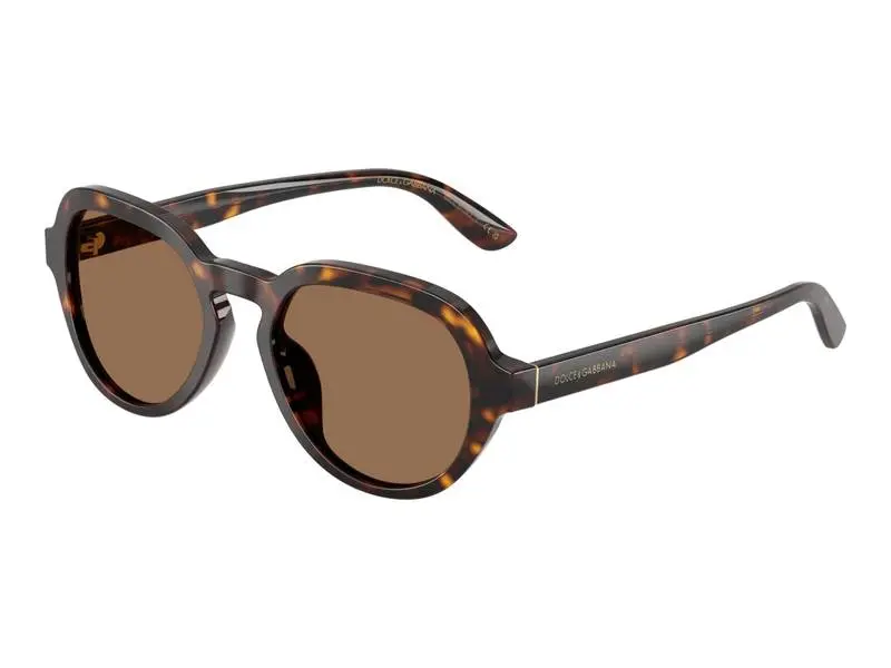 Dolce & Gabbana DG4567 502/73