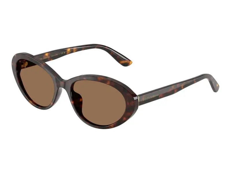 Dolce & Gabbana DG4570 502/73