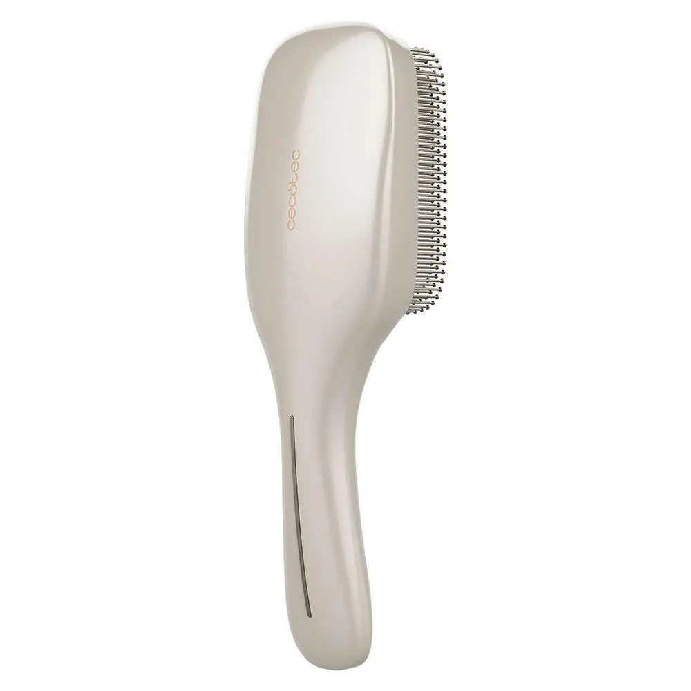 Cecotec HairCare 100152 stříbrný