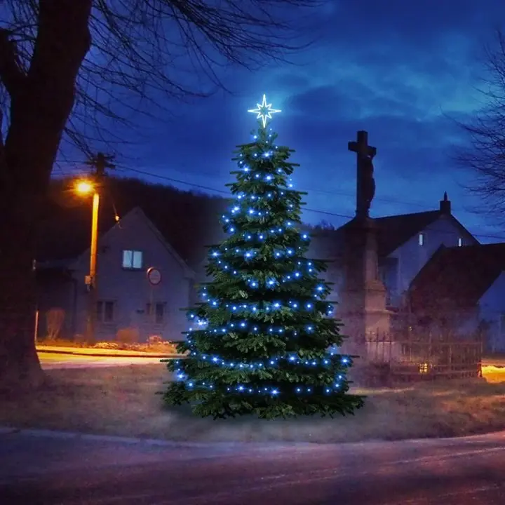DLED TRS101B LED světelná sada na stromy vysoké 3-5m, modrá