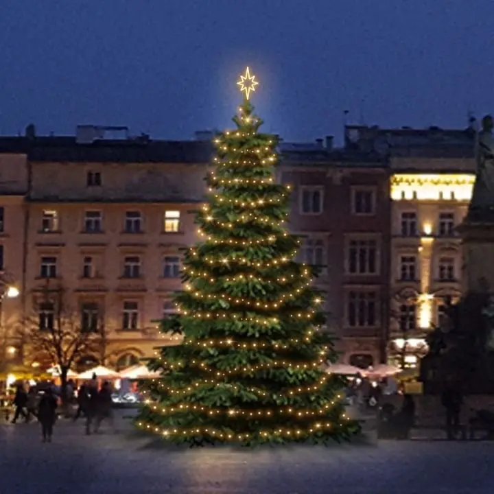 DLED TRS201W LED světelná sada na stromy vysoké 6-8m, teplá bílá