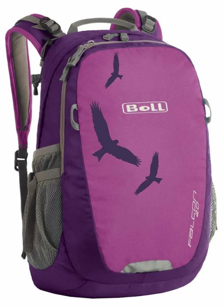 Boll Batoh Falcon boysenberry 20l