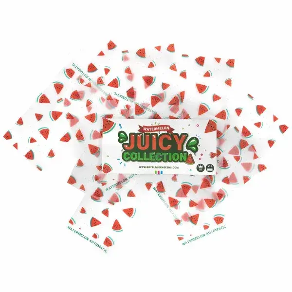 Royal Queen Seeds Potištěné Organické Papírky, 110x54 mm
