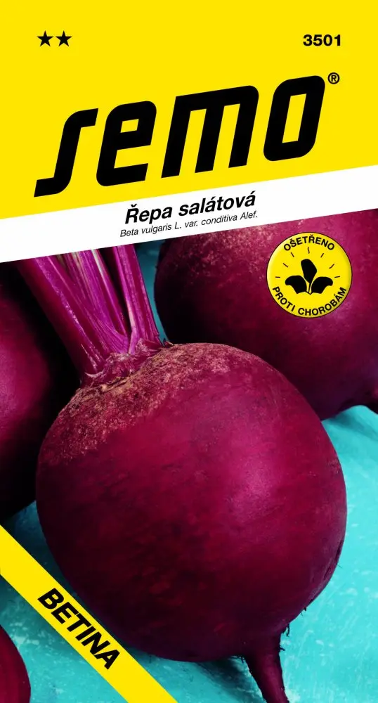 Salatová repa Betina