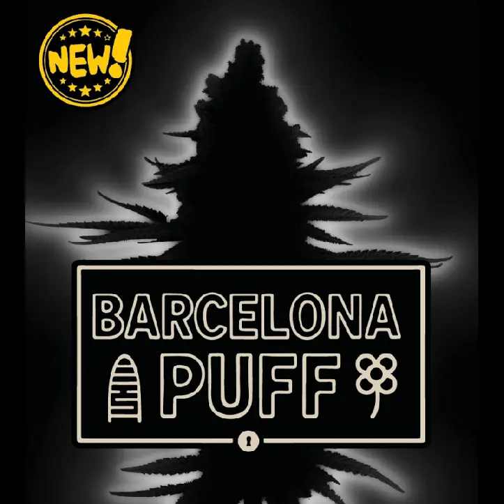 Seedstockers Barcelona Puff Auto samonakvétací semena
