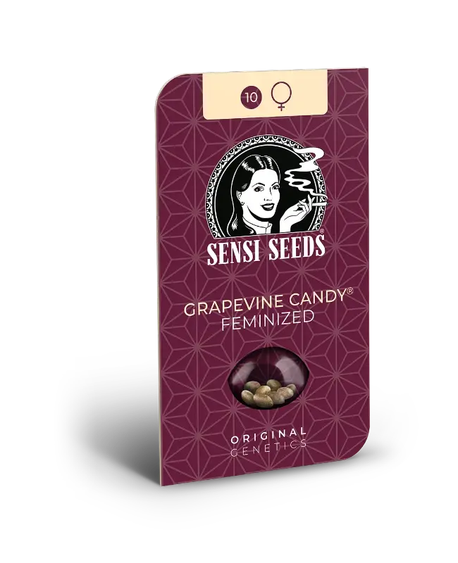 Grapevine Candy - feminizovaná semena, 3 ks, Sensi Seeds