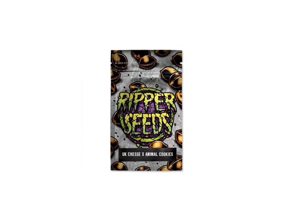 Ripper Seeds Amnesia x Zombie Kush feminizovaná semena