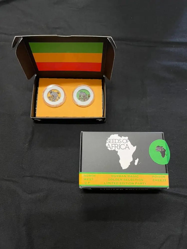Seeds of Africa Northwest Durban Poison a Poison Cheezz, 24 semen