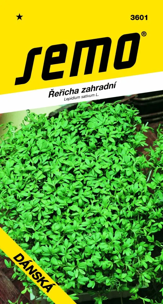 Řeřicha zahradní Dánská – semena