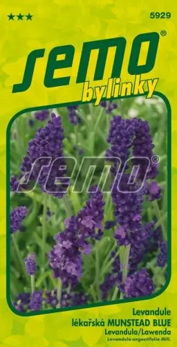 Levandule Munstead Blue, semena