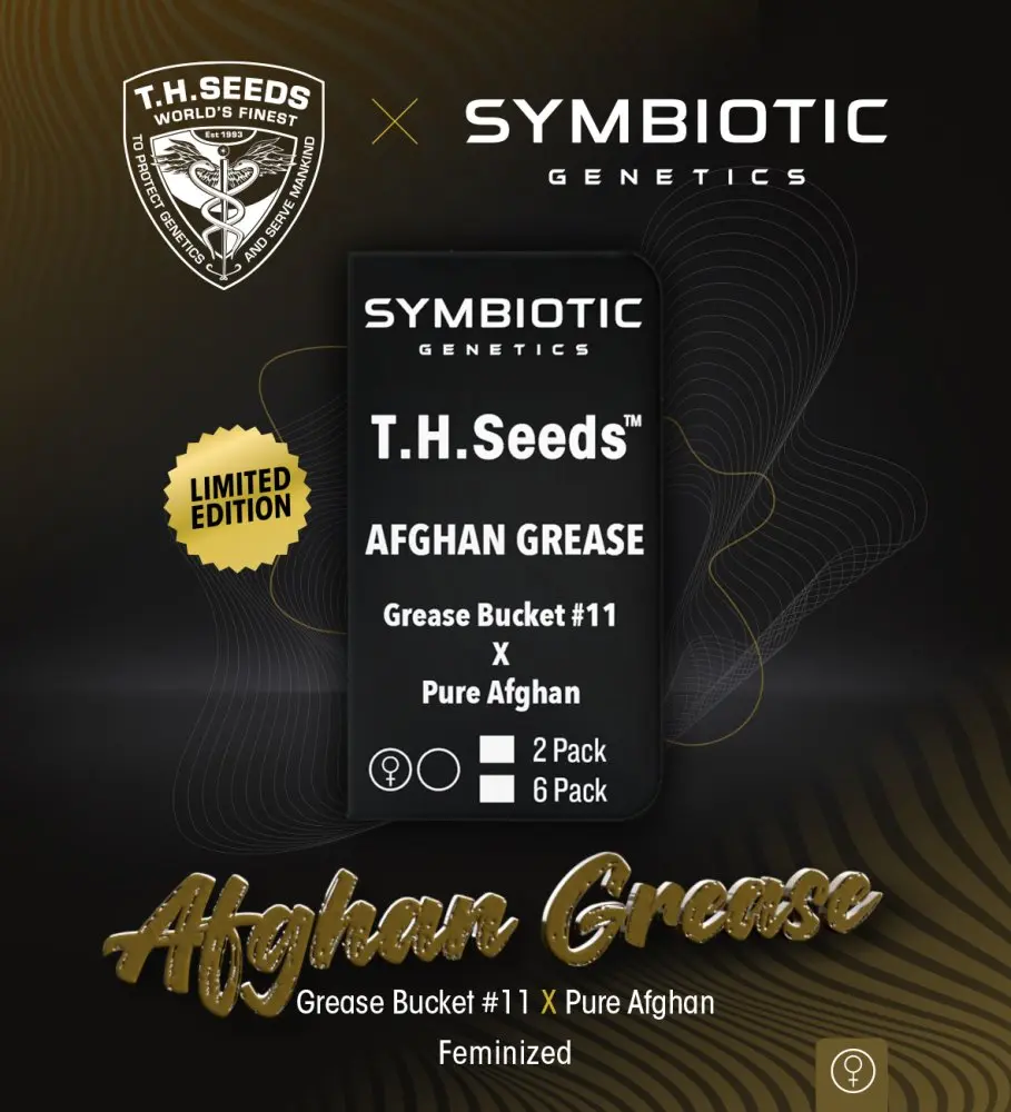 T.H. Seeds Afghan Grease feminizovaná semena