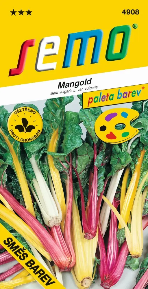 Mangold řapíkatý, směs barev – semena