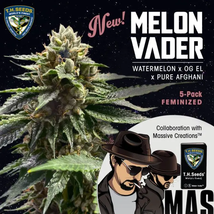 T.H. Seeds Melon Vader feminizovaná semena, 5 ks