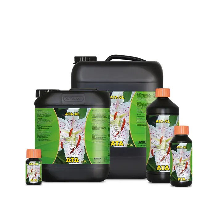 Atami ATA-XL, 5L