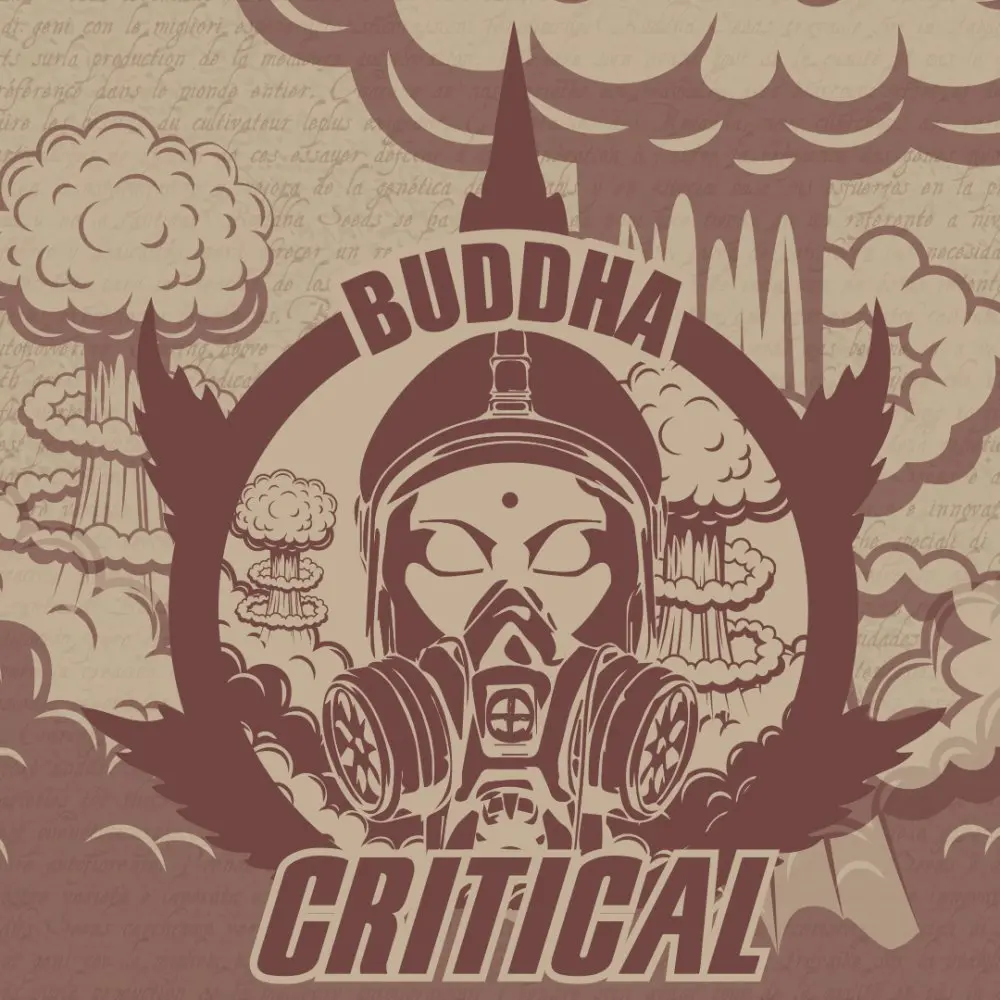 Buddha Critical, 3 ks, Buddha Seeds