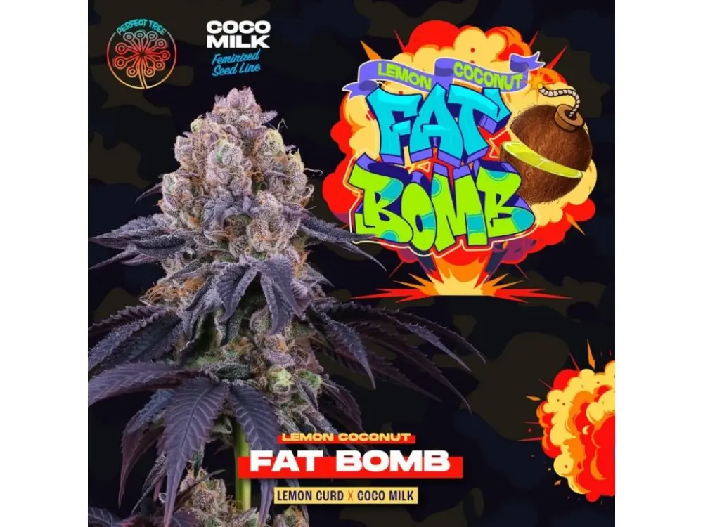 Perfect Tree Seeds Lemon Coconut Fat Bomb feminizovaná semena