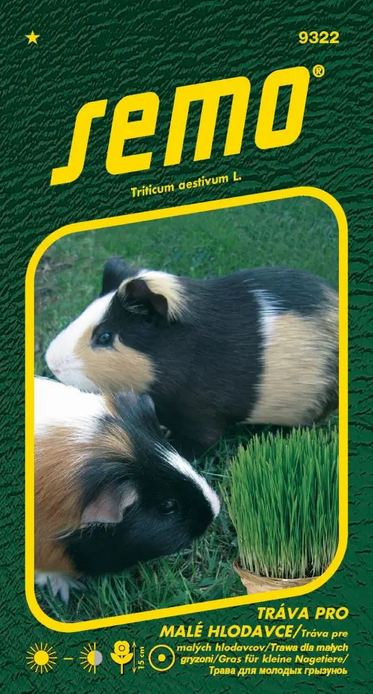 Tráva pro malé hlodavce, semena