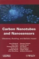Carbon Nanotubes and Nanosensors - Elishakoff, Isaac (Florida Atlantic University, USA) a Dujat, Kevin (IFMA ? French Institute for Advanced Mechanics, France) a Muscolino, Giuseppe (University of Messina, Italy) a Bucas, Simon (IFMA ? French Institute for Advanced Mechanics, France) a Natsuki, To