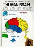 Human Brain Coloring Book - Diamond, Marian C. a Scheibel, Arnold B.