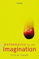 Mathematics for the Imagination - Higgins, Peter (, Essex University)