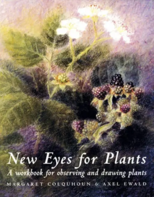 New Eyes for Plants - Colquhoun, Margaret a Ewald, Axel
