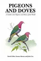 Pigeons and Doves - Gibbs, David