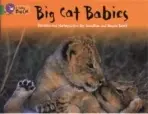 Big Cat Babies - Scott, Jonathan a Scott, Angela