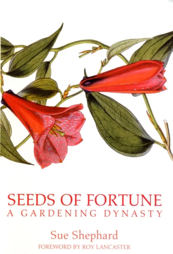 Seeds of Fortune - Shephard, Sue