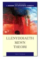 Llenyddiaeth Mewn Theori - Thomas, Owen