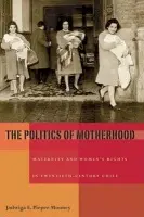 Politics of Motherhood, The - Pieper Mooney, Jadwiga