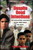 Despite Good Intentions - Dichter, Thomas W.