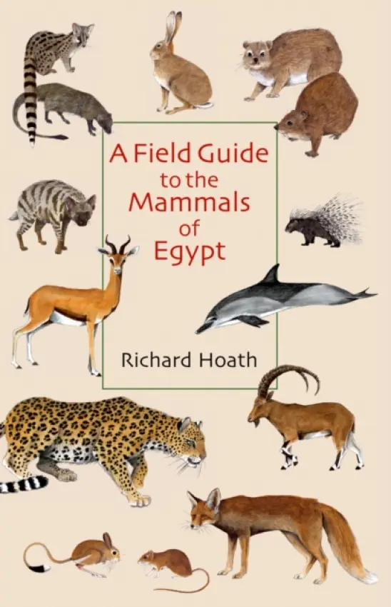 Field Guide to the Mammals of Egypt - Hoath, Richard