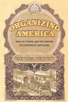 Organizing America - Perrow, Charles