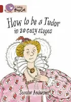 How to be a Tudor - Anderson, Scoular